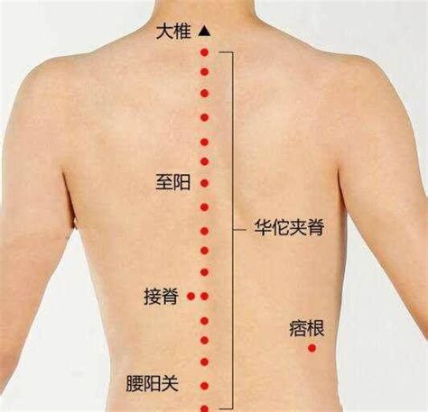 天元穴|关元的准确位置图和按摩手法